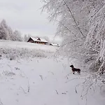 Ferienhaus Dom Na Kamiencu *