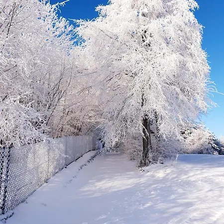 Dom Na Kamiencu * Laskowa (Limanowa)
