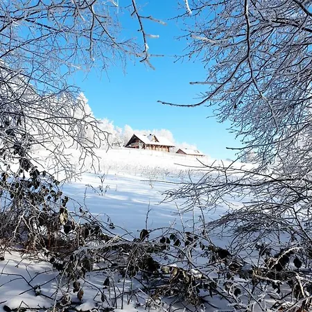 Dom Na Kamiencu *
