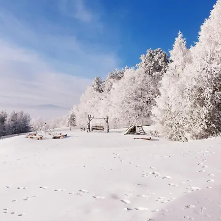 Dom Na Kamiencu * Laskowa (Limanowa)