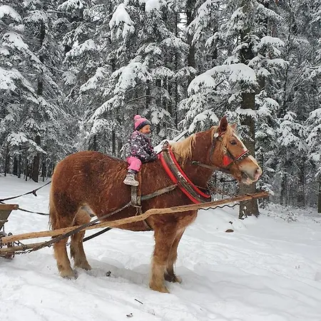Dom Na Kamiencu Сasa de vacaciones *