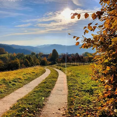 Dom Na Kamiencu *