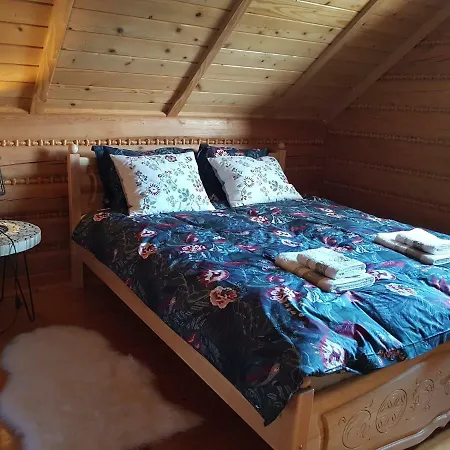 Dom wakacyjny Dom Na Kamieńcu